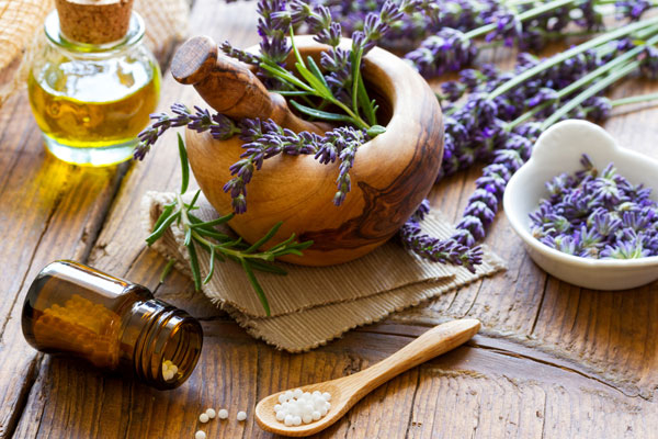 Kompetenzapotheke f&uuml;r pflanzliche Therapie er&ouml;ffnet in Ebern