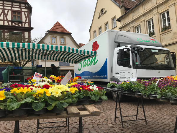 der Fr&uuml;hling kommt