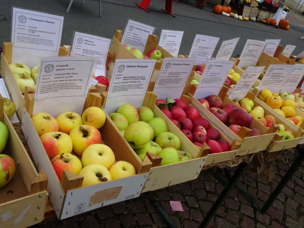 Eberner Oktobermarkt und Apfelfest
